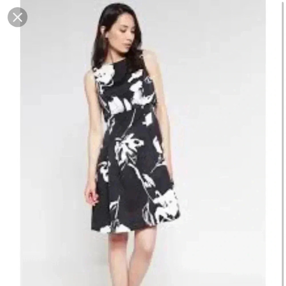 Lauren by Ralph Lauren Lamona Popover dress. BNWT SZ 10 - Picture 5 of 8